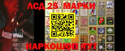 сатива Кингисепп