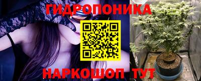 сатива Кингисепп