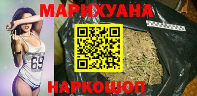 сатива Кингисепп