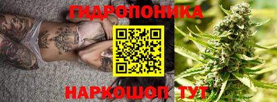 сатива Кингисепп
