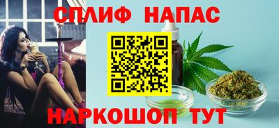 сатива Кингисепп