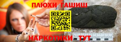 сатива Кингисепп