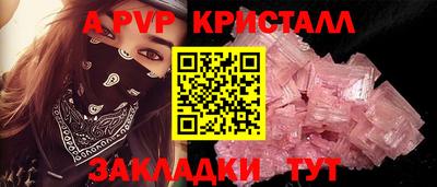 сатива Кингисепп