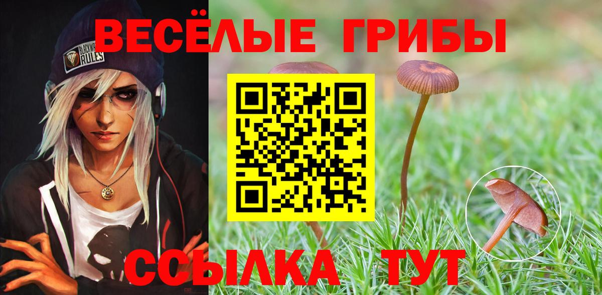 Конаково  Псилоцибиновые грибы Magic Shrooms  Вход с VPN 